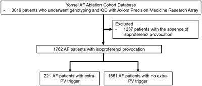 Association of ZFHX3 Genetic Polymorphisms and Extra-Pulmonary Vein Triggers in Patients With Atrial Fibrillation Who Underwent Catheter Ablation